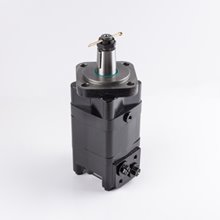 MS 315K
